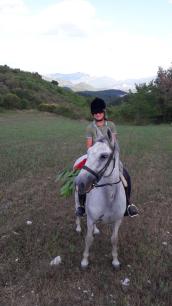 Clicca per ingrandire